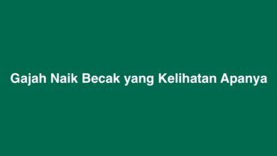 Gajah Naik Becak yang Kelihatan Apanya