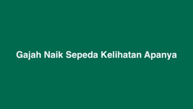 Gajah Naik Sepeda Kelihatan Apanya