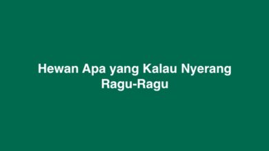 Hewan Apa yang Kalau Nyerang Ragu-Ragu