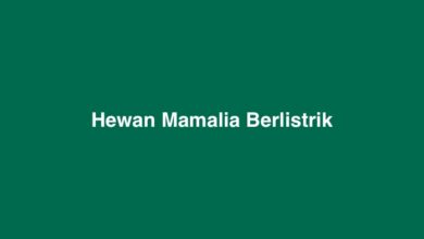 Hewan Mamalia Berlistrik