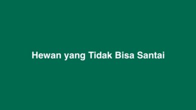 Hewan yang Tidak Bisa Santai