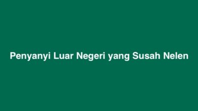 Penyanyi Luar Negeri yang Susah Nelen