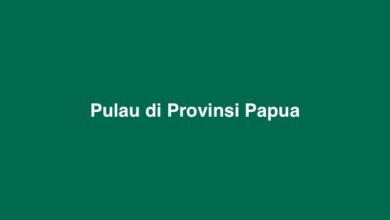 Pulau di Provinsi Papua