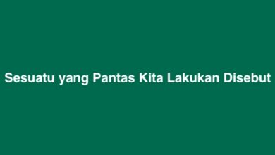 Sesuatu yang Pantas Kita Lakukan Disebut