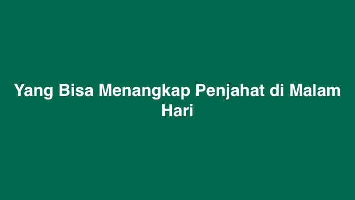 Yang Bisa Menangkap Penjahat di Malam Hari