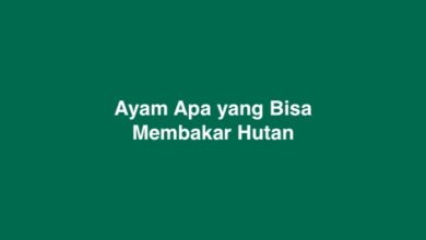 Ayam Apa yang Bisa Membakar Hutan