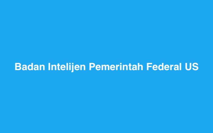 Badan Intelijen Pemerintah Federal US