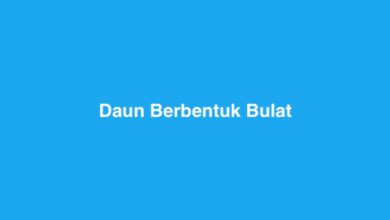 Daun Berbentuk Bulat