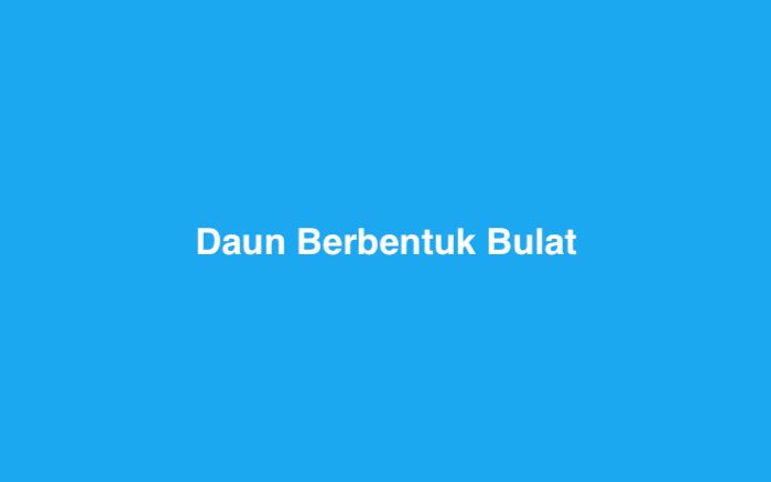 Daun Berbentuk Bulat