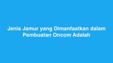 Jenis Jamur yang Dimanfaatkan dalam Pembuatan Oncom Adalah