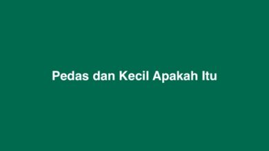 Pedas dan Kecil Apakah Itu