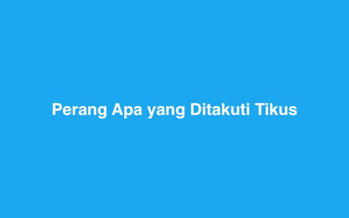 Perang Apa yang Ditakuti Tikus