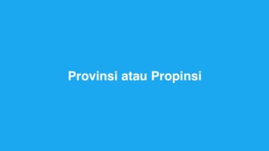 Provinsi atau Propinsi