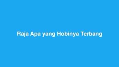 Raja Apa yang Hobinya Terbang