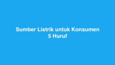 Sumber Listrik untuk Konsumen