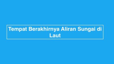 Tempat Berakhirnya Aliran Sungai di Laut