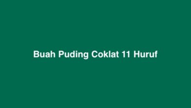 Buah Puding Coklat 11 Huruf