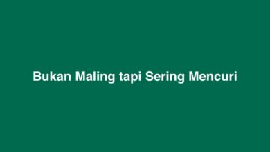 Bukan Maling tapi Sering Mencuri