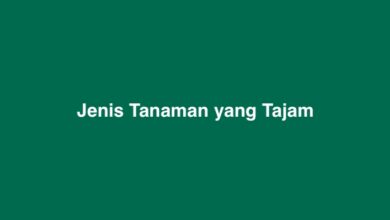 Jenis Tanaman yang Tajam