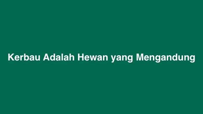 Kerbau Adalah Hewan yang Mengandung