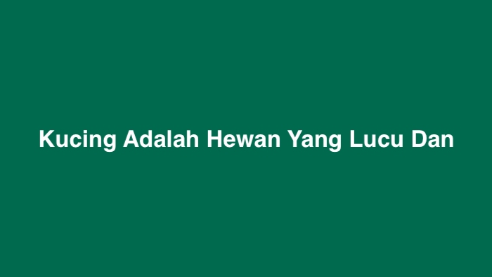 Kucing Adalah Hewan Yang Lucu Dan