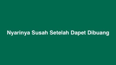 Nyarinya Susah Setelah Dapet Dibuang