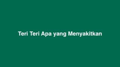 Teri Teri Apa yang Menyakitkan