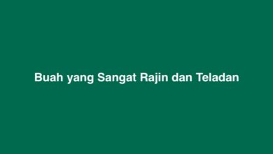 Buah yang Sangat Rajin dan Teladan