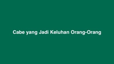 Cabe yang Jadi Keluhan Orang-Orang