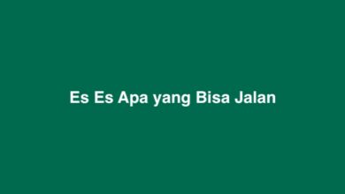 Es Es Apa yang Bisa Jalan