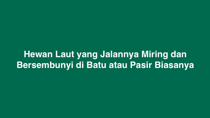 Hewan Laut yang Jalannya Miring dan Bersembunyi di Batu atau Pasir Biasanya