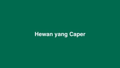 Hewan yang Caper