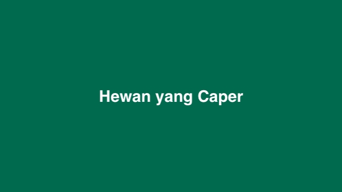 Hewan yang Caper