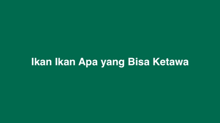 Ikan Ikan Apa yang Bisa Ketawa