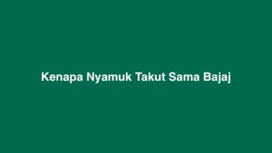 Kenapa Nyamuk Takut Sama Bajaj