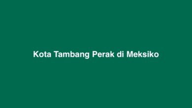 Kota Tambang Perak di Meksiko