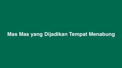 Mas Mas yang Dijadikan Tempat Menabung