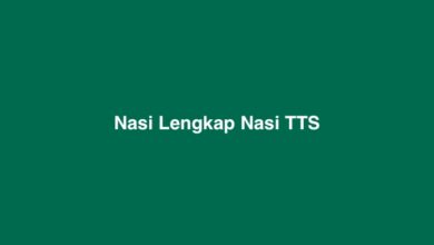 Nasi Lengkap Nasi TTS