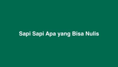 Sapi Sapi Apa yang Bisa Nulis