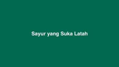 Sayur yang Suka Latah