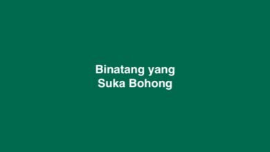 Binatang yang Suka Bohong