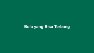 Bola yang Bisa Terbang