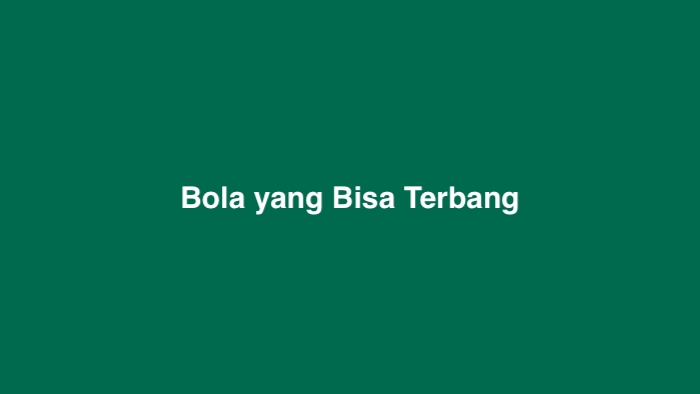 Bola yang Bisa Terbang