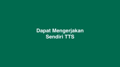 Dapat Mengerjakan Sendiri TTS