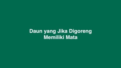 Daun yang Jika Digoreng Memiliki Mata