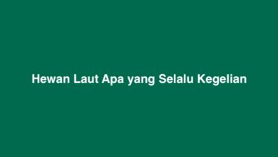 Hewan Laut Apa yang Selalu Kegelian