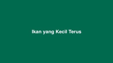 Ikan yang Kecil Terus