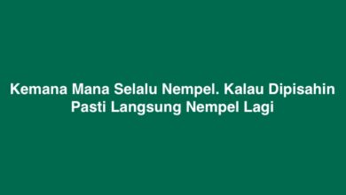 Kemana Mana Selalu Nempel. Kalau Dipisahin Pasti Langsung Nempel Lagi