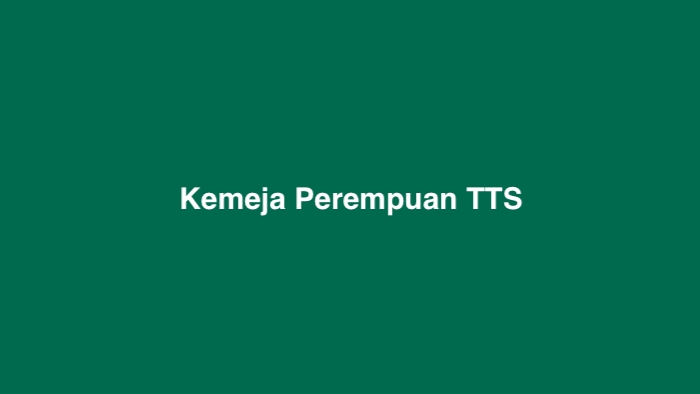 Kemeja Perempuan TTS