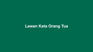 Lawan Kata Orang Tua